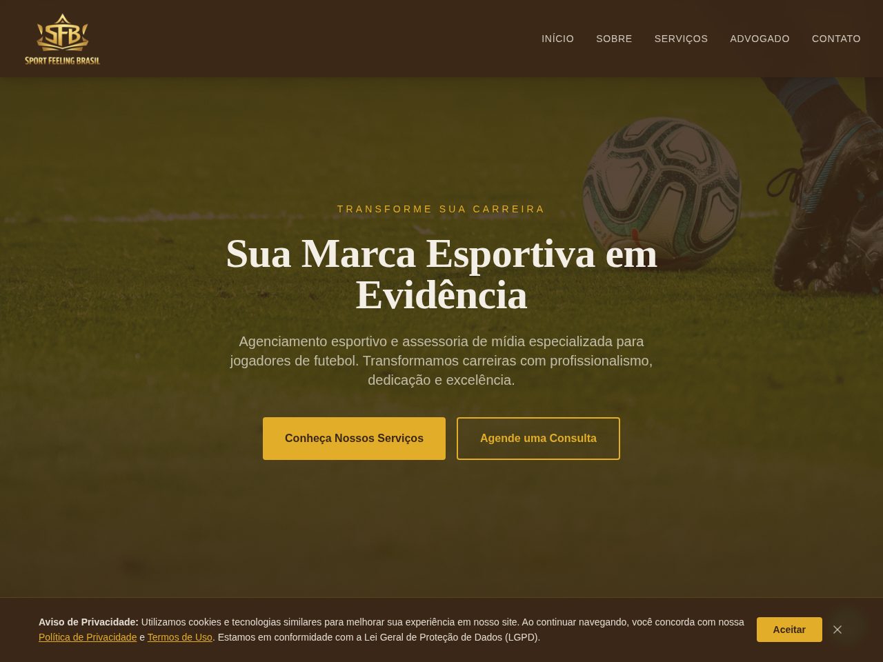 Preview do site Sport Feeling